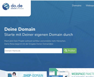 Schritt 1 Domain prüfen bei Domain Offensive
