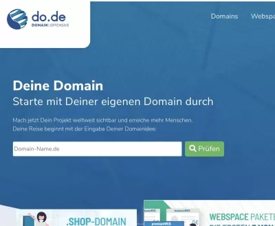 Schritt 1 Domain prüfen bei Domain Offensive